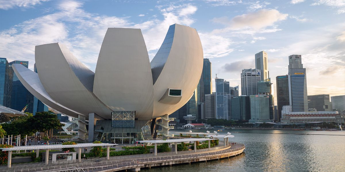 Art Science Museum (Future World: Where Art Meets Science) with private transfers