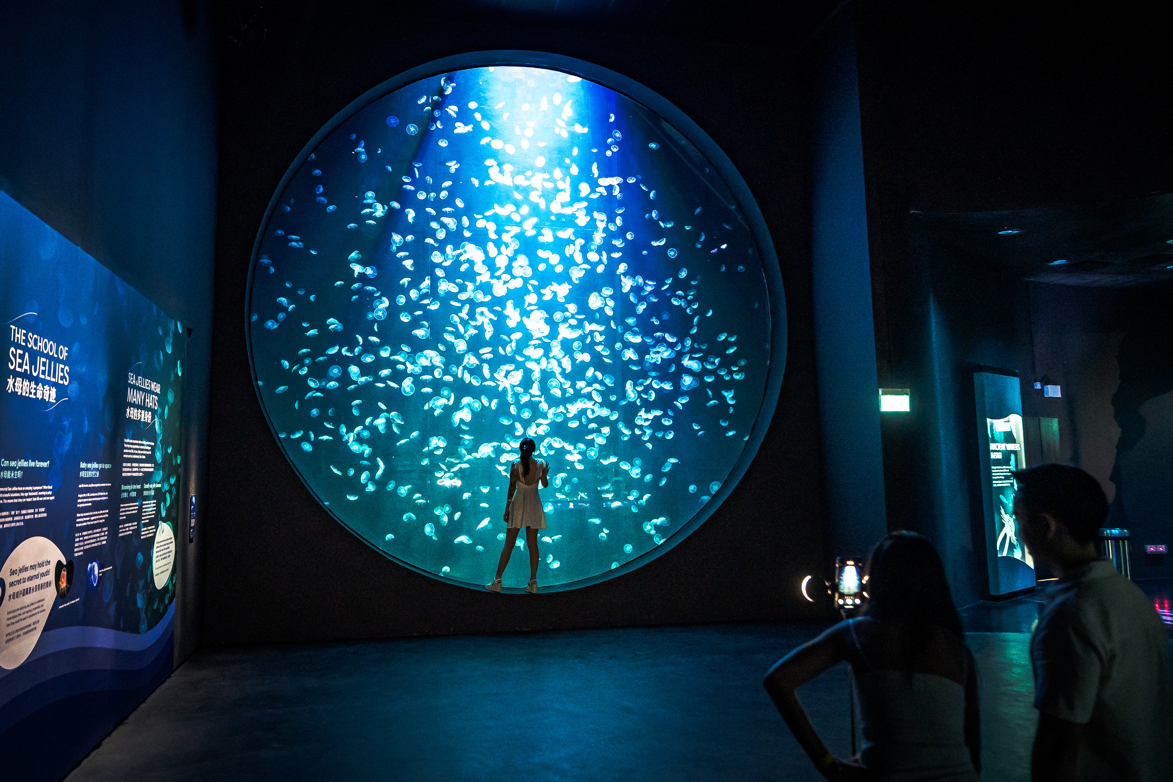 Sentosa Combo: Cable Car, Singapore Oceanarium and Wings of time on private basis 