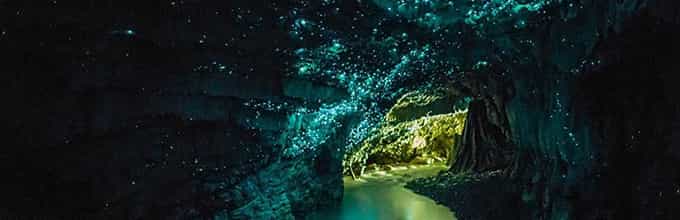 Waitomo Glowworm Caves - Admissions