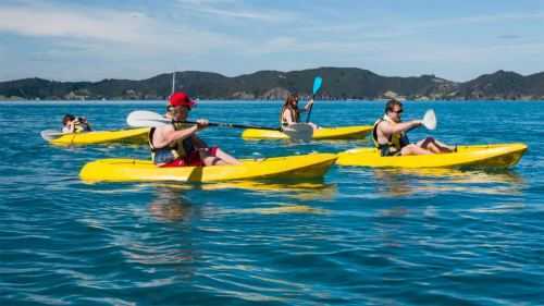 Bay of Islands - Exciting day cruise adventure on The Rock arena & surroundings