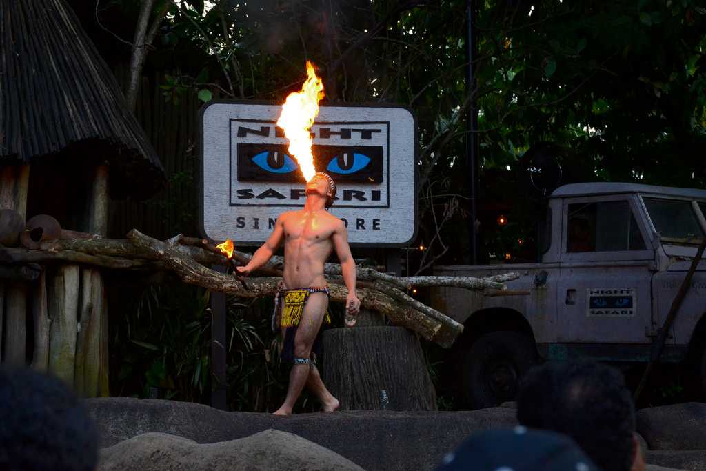 PYT Ultimate Singapore Combo- Night Safari , Gardens By The Bay & Sands Sky Park , Universal Studios , Sentosa Adventure , Singapore City Tour & Return Airport transfers