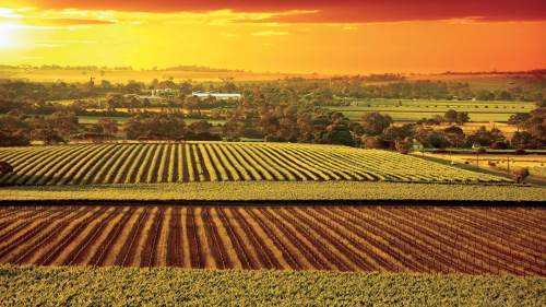 Grand Barossa Valley Day Tour