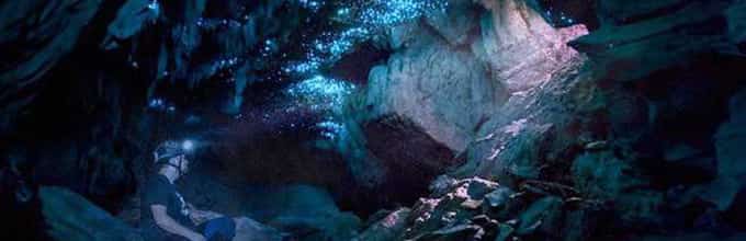 Experience Waitomo Glowworm Caves on the way to Rotorua - Admissions included
