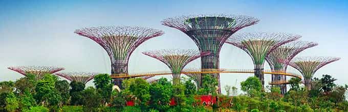 Happy feels at Gardens by the bay