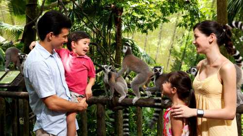 Happy timeout at Singapore Zoo