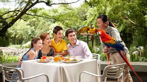 Jurong Bird Park ( Only Admissions + Tram) (Closed from Jan 3 2023)