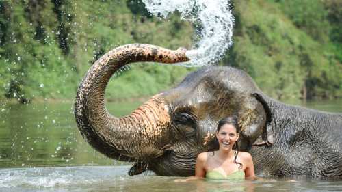 Rafting Safari Full Day