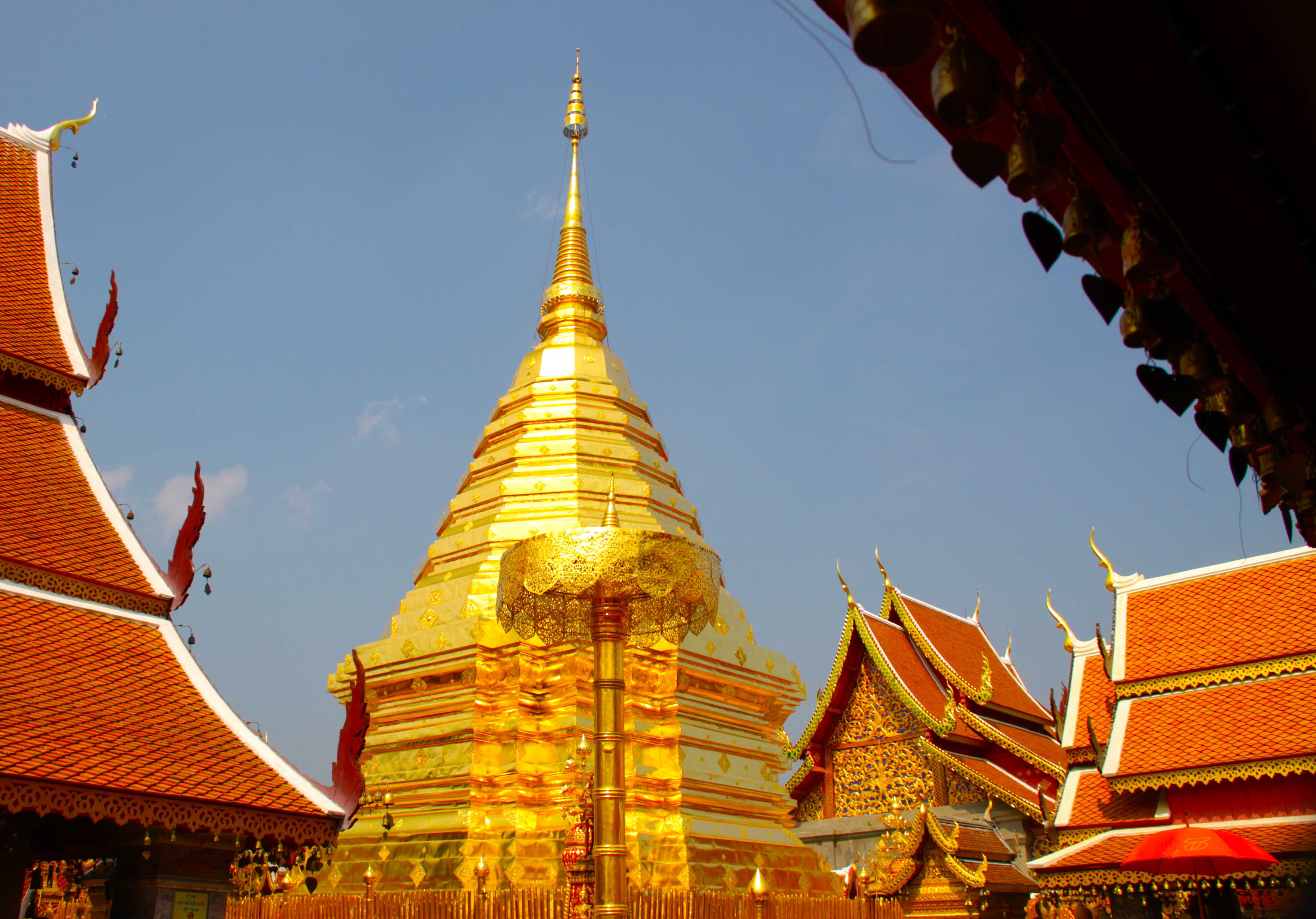 Pay a visit to Doi Suthep Temple And Wat Saun Dok, Wat Chedi Louang