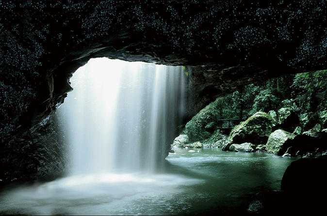 Natural Bridge and Glow Worm Cave Tour