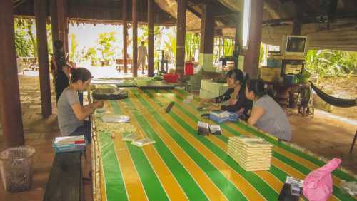 MEKONG DELTA DISCOVERY