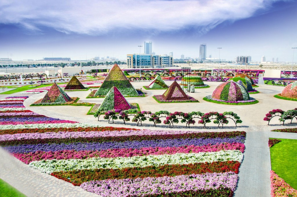 Watch an Incredible Dolphin & Seal Show at the Dubai Dolphinarium & Visit to Miracle Garden