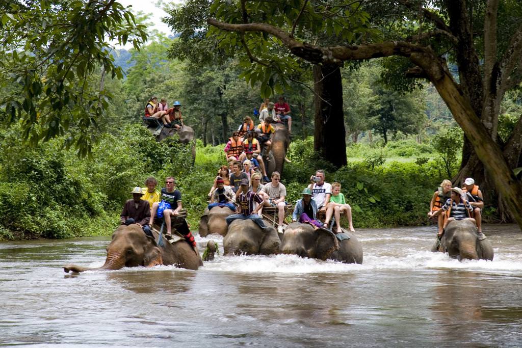 River kwai with elephant & bamboo rafting with lunch and a full-day tour to the heart of the Kanchanaburi jungle