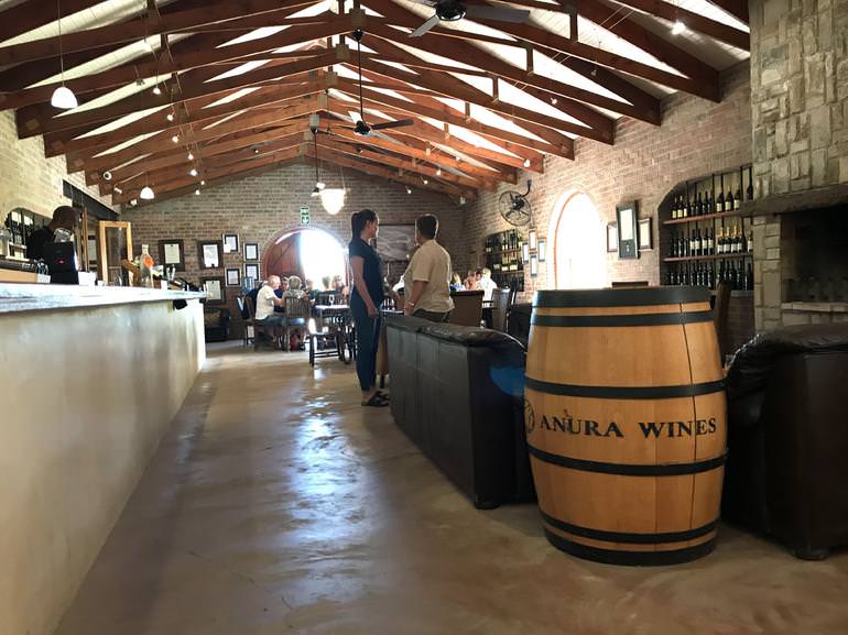 Explore the fantastic wine regions of Paarl, Franschoek, and Stellenbosch during the South African wine tour