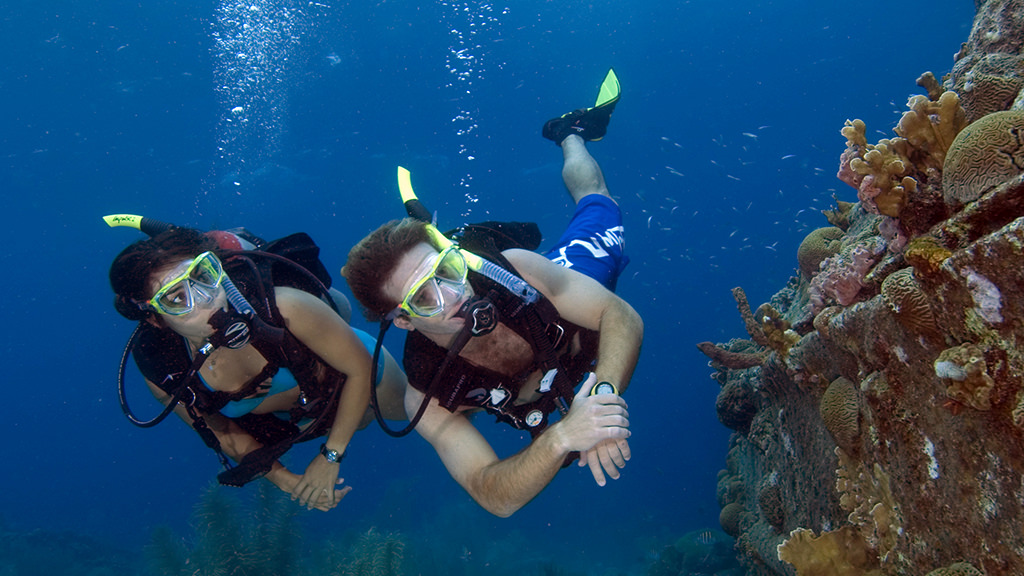 Samui Diving - Scuba dive around the beautiful islands and exploring the underwater world