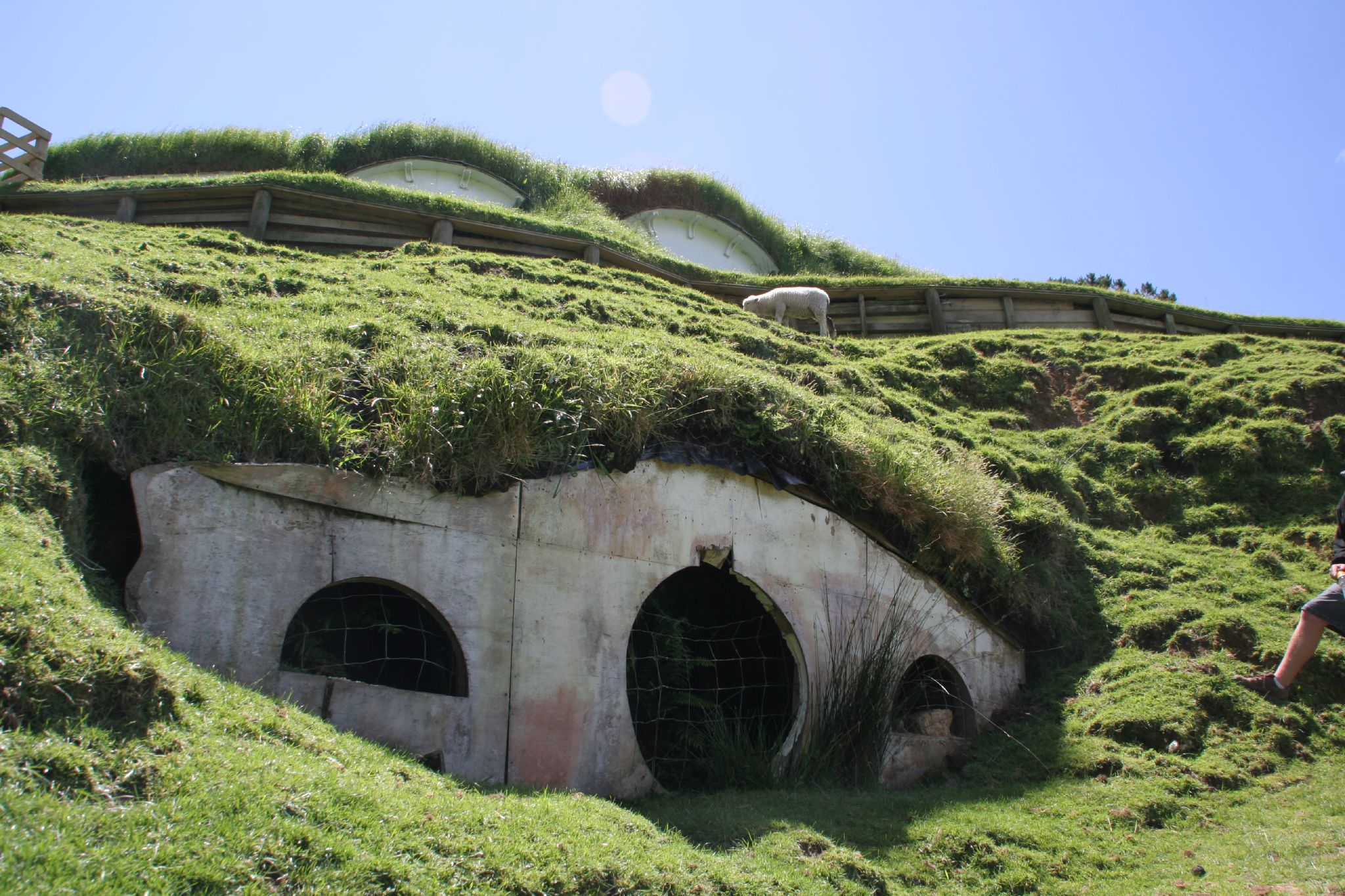 Experience Waitomo and Hobbiton on the way to Auckland