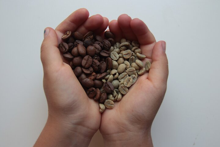 Helsinki Coffee Hop  - Helsinki Coffee Hop 