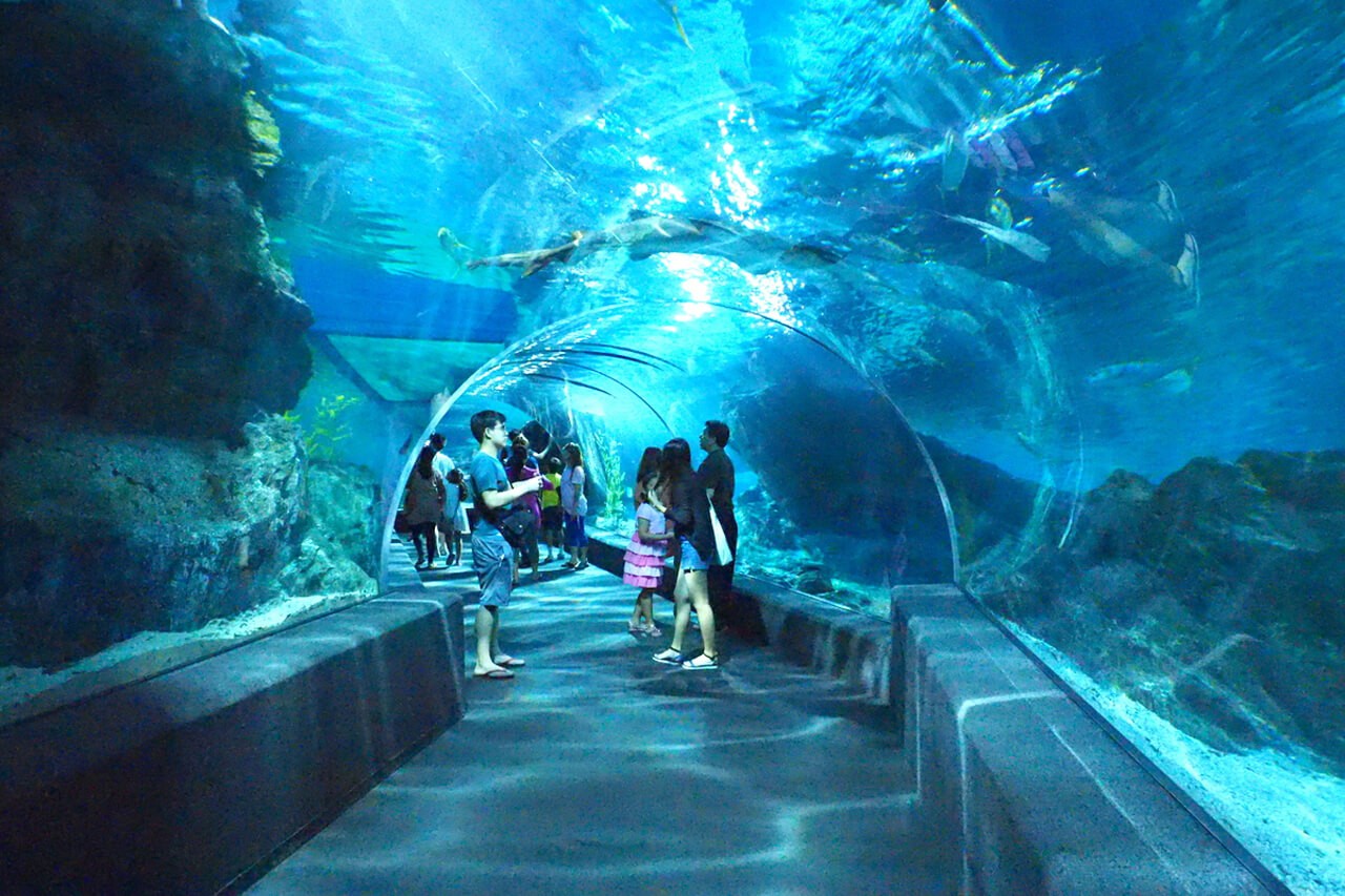 Bangkok - Sea Life Bangkok and Madame Tussauds With Private Transfers