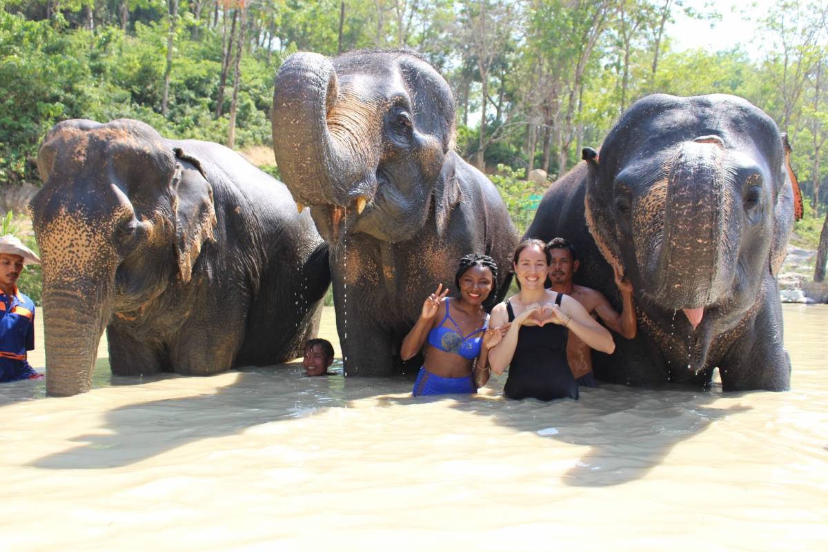 Phuket-Feeding and walk Elephant 30 min + Bathing with Elephant 15 Min. (Shared Transfer)- (FB)