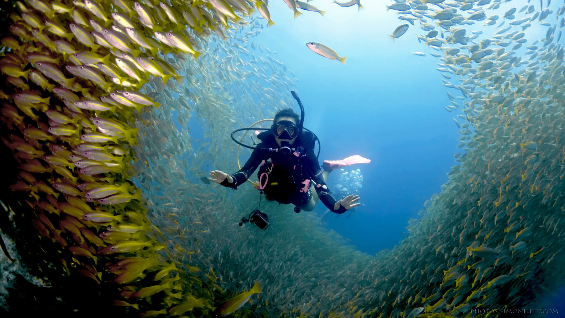 Phi Phi-Scuba Diving 1 Day 2 Dives From Tonsai Pier With Shared Transfers