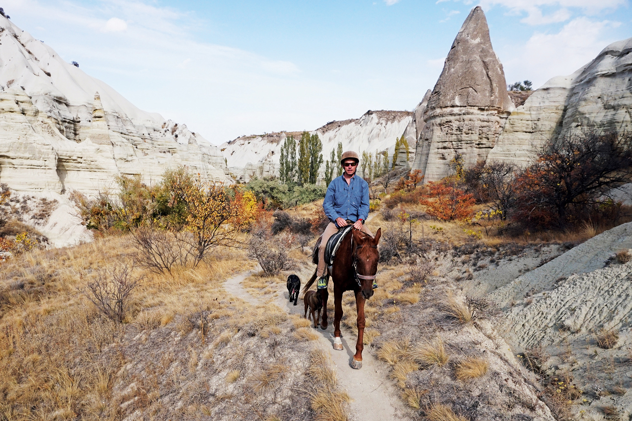 2 Hours Horse Riding Tour at sunset period per horse per person with shared transfer