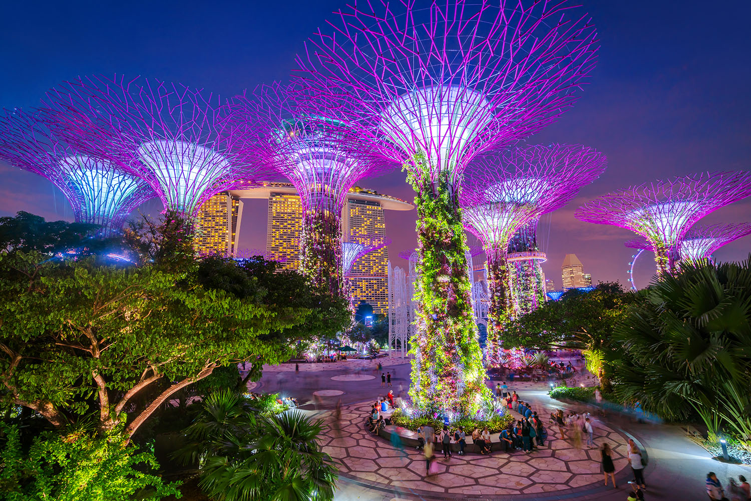 MBS, Gardens By The Bay, Flower Dome and Super tree Observatory With Shared Transfers