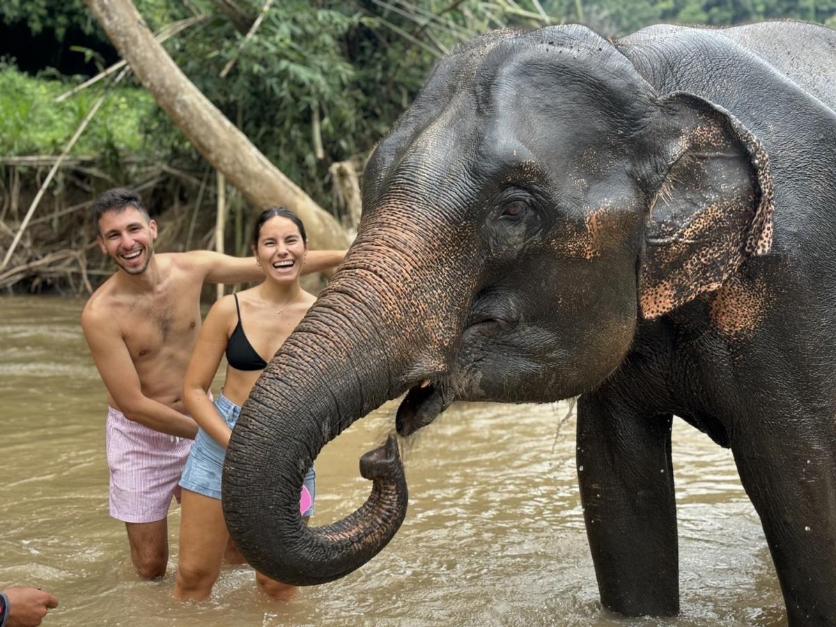 Chiang Mai-Elephant Sanctuary & Bamboo Rafting (Shared Transfer)