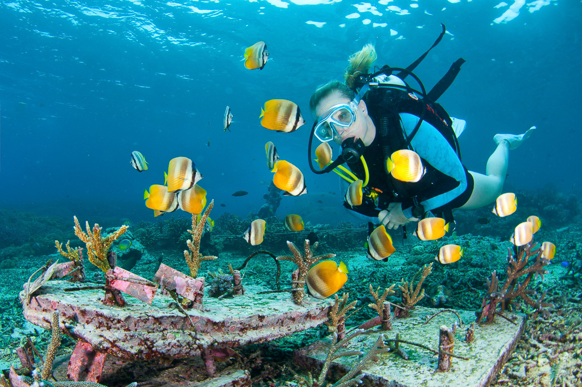 Scuba Diving for Only Certified Divers at Nusa penida : 2 Dives MANTA TRIP (min. 2 pax). Pick up at Hotel in Nusa Penida