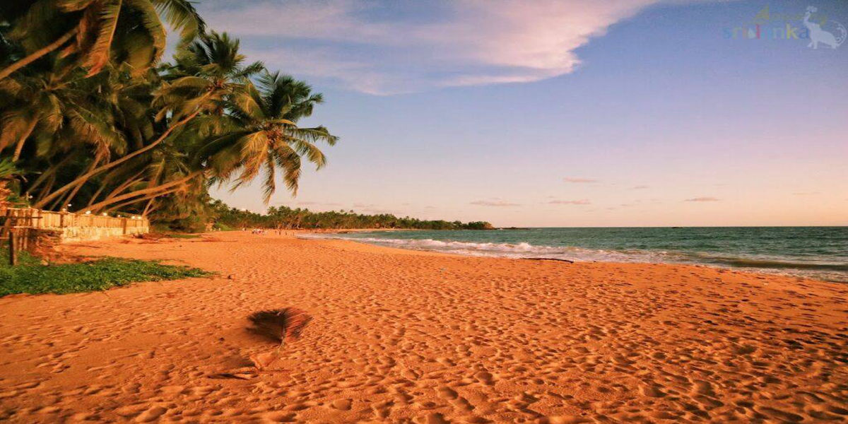 Galle Dutch Fort , Dutch Museum, Unawatuna - Beach, Jungle Beach, Dalawella beach , Induruwa beaches Galle City tour