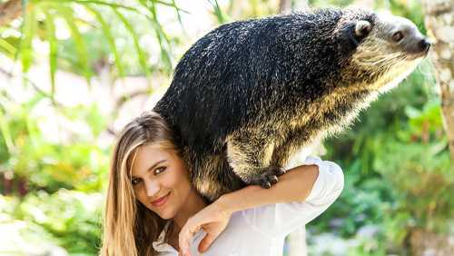 Zoo Explorer at Bali Zoo with Indian Lunch and Private Transfers
