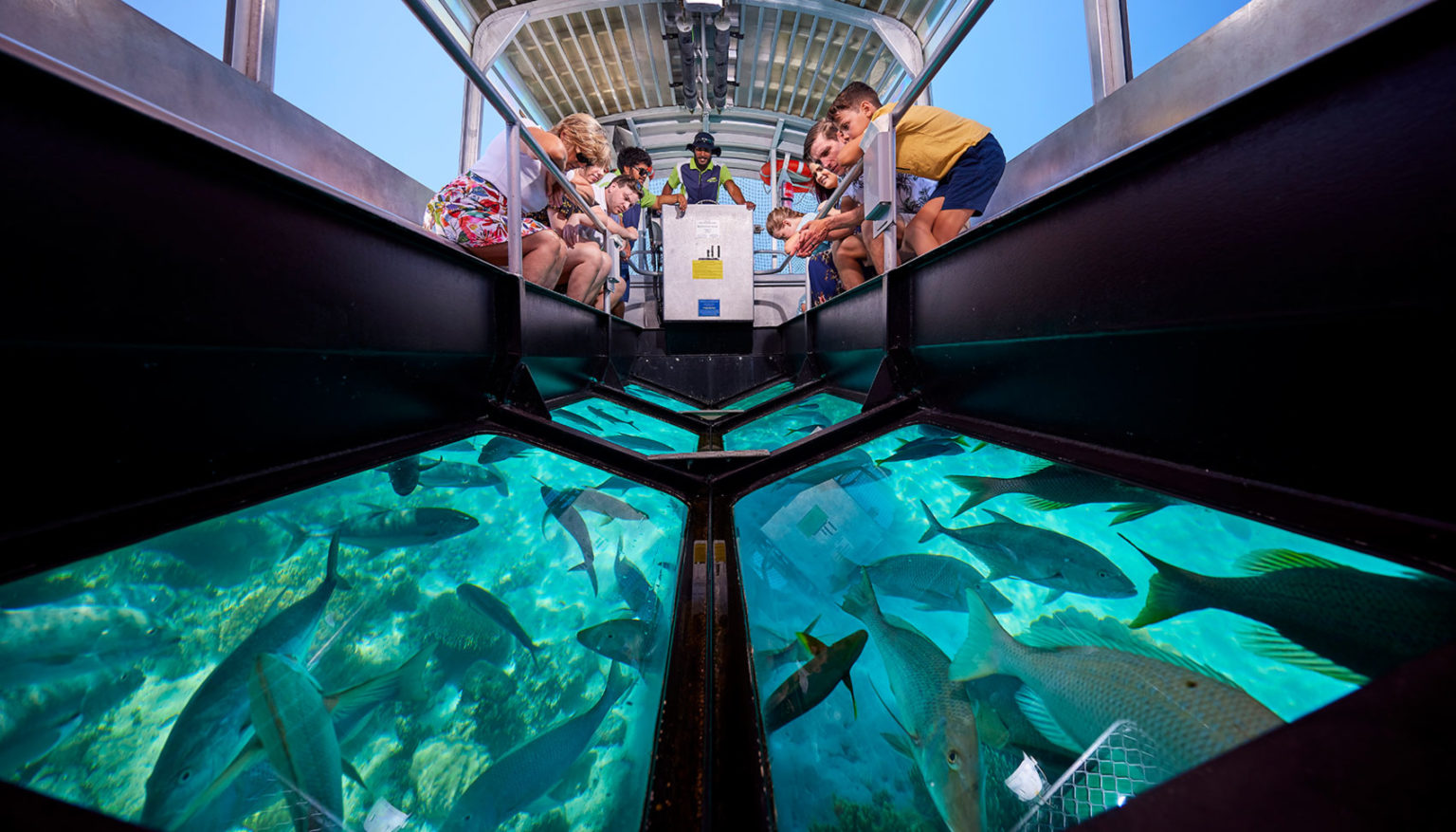 Glass Bottom Boat and Turtle Island With Private Transfers