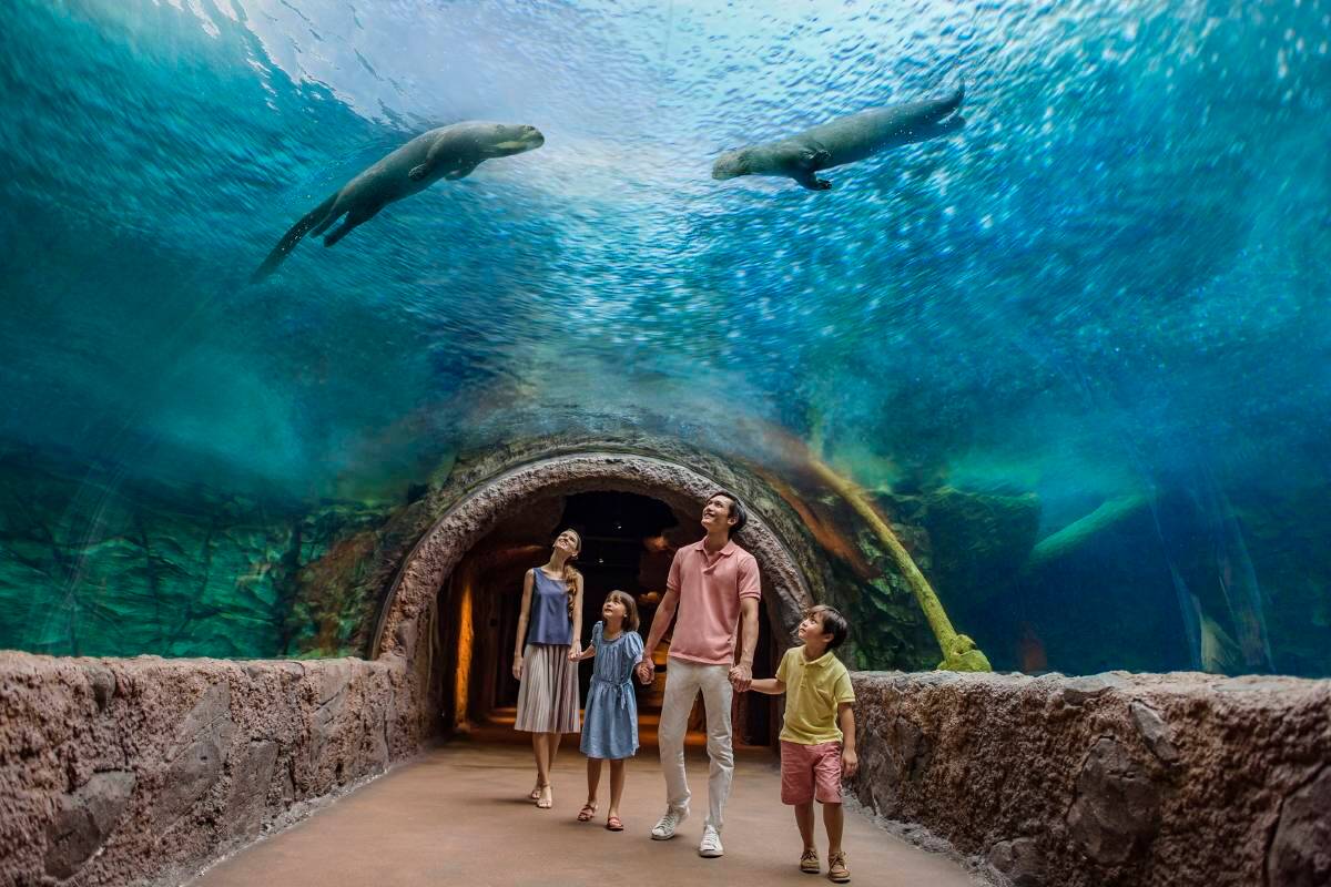 River wonders and Singapore zoo on private transfers 