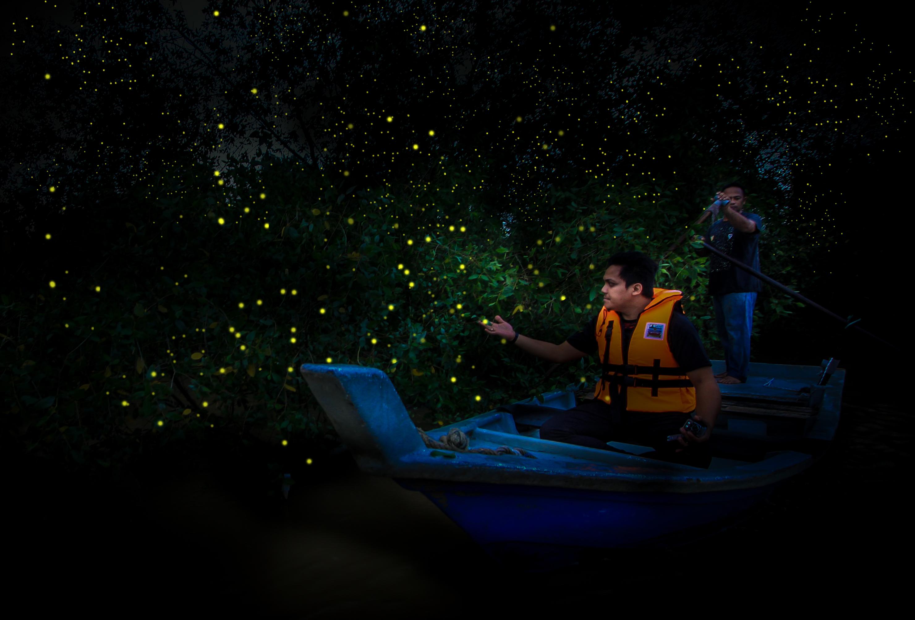 Kuala Selangor Fireflies include boat ride & Dinner at local restaurant with Shared Transfers
