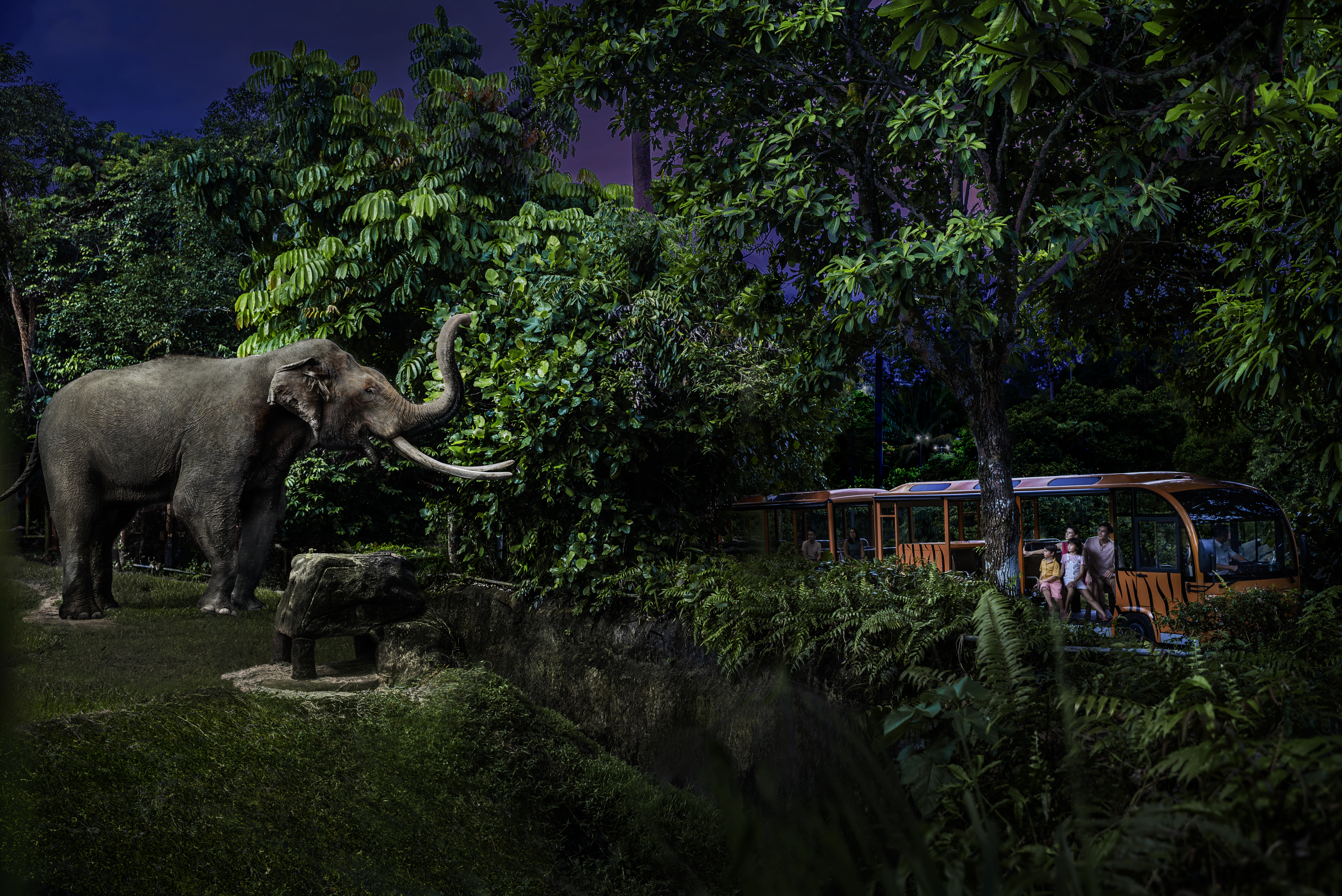 Singapore Night Safari with tram on shared transfers