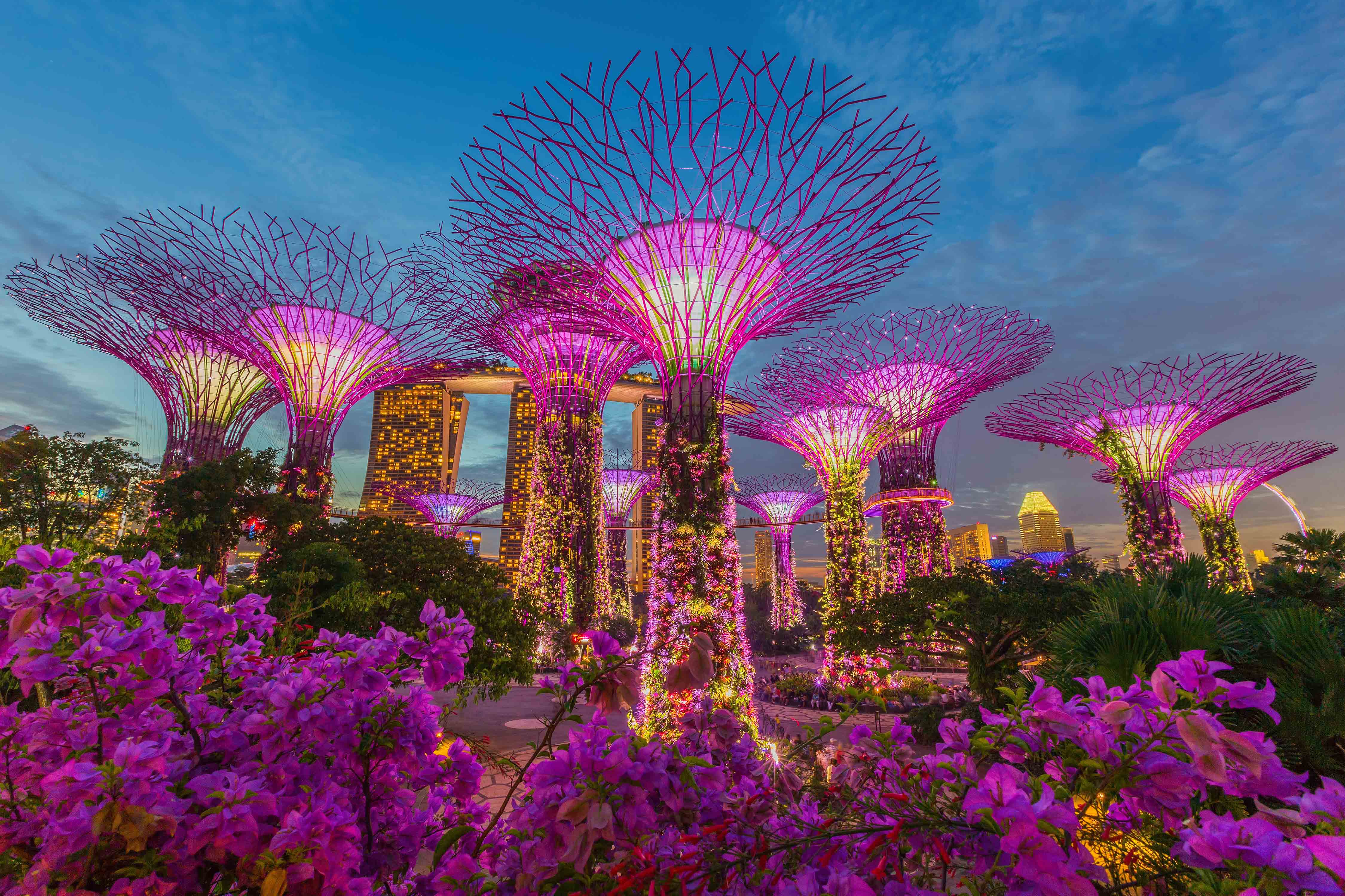 Gardens by the bay (Cloud forest and Flower dome) with shared transfers