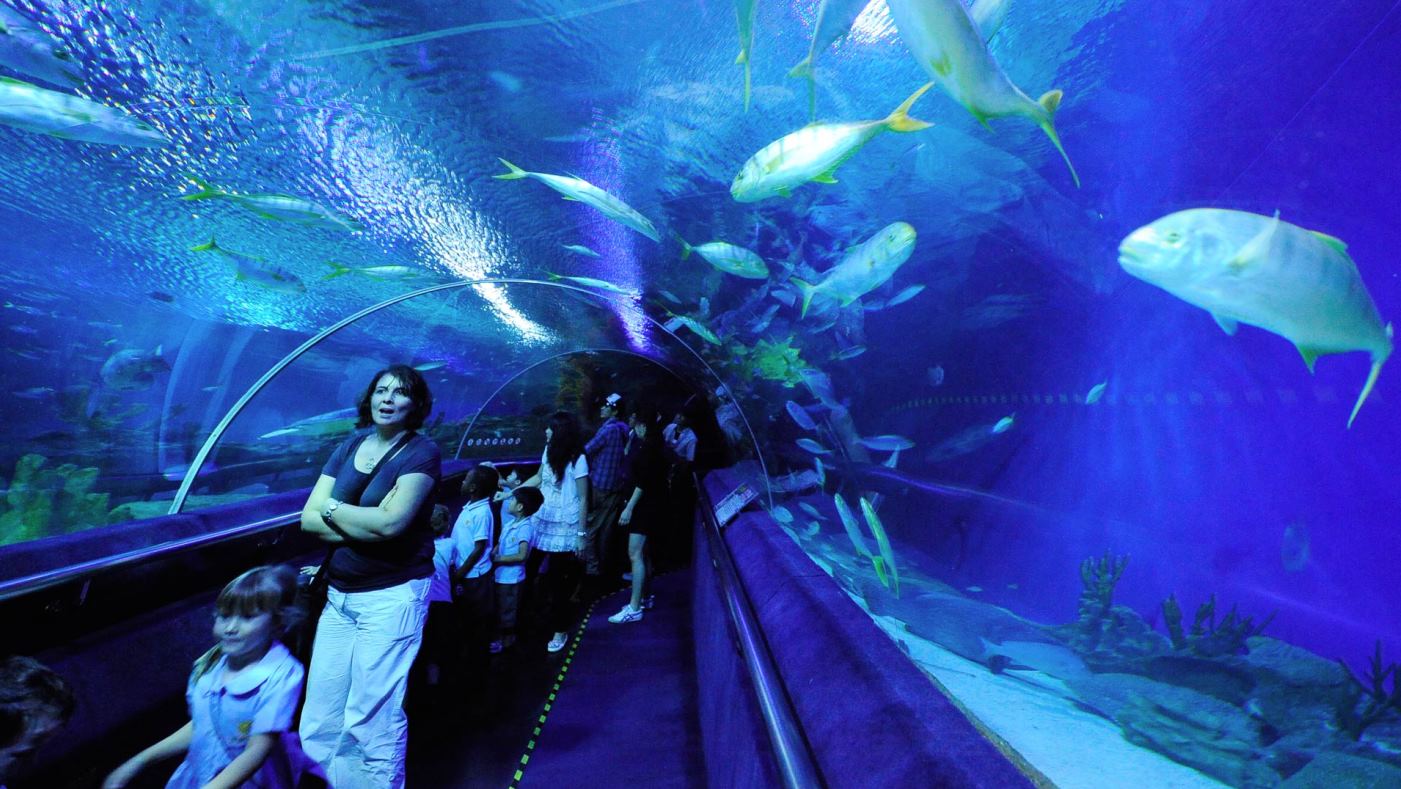 Aquaria KLCC Admission Ticket