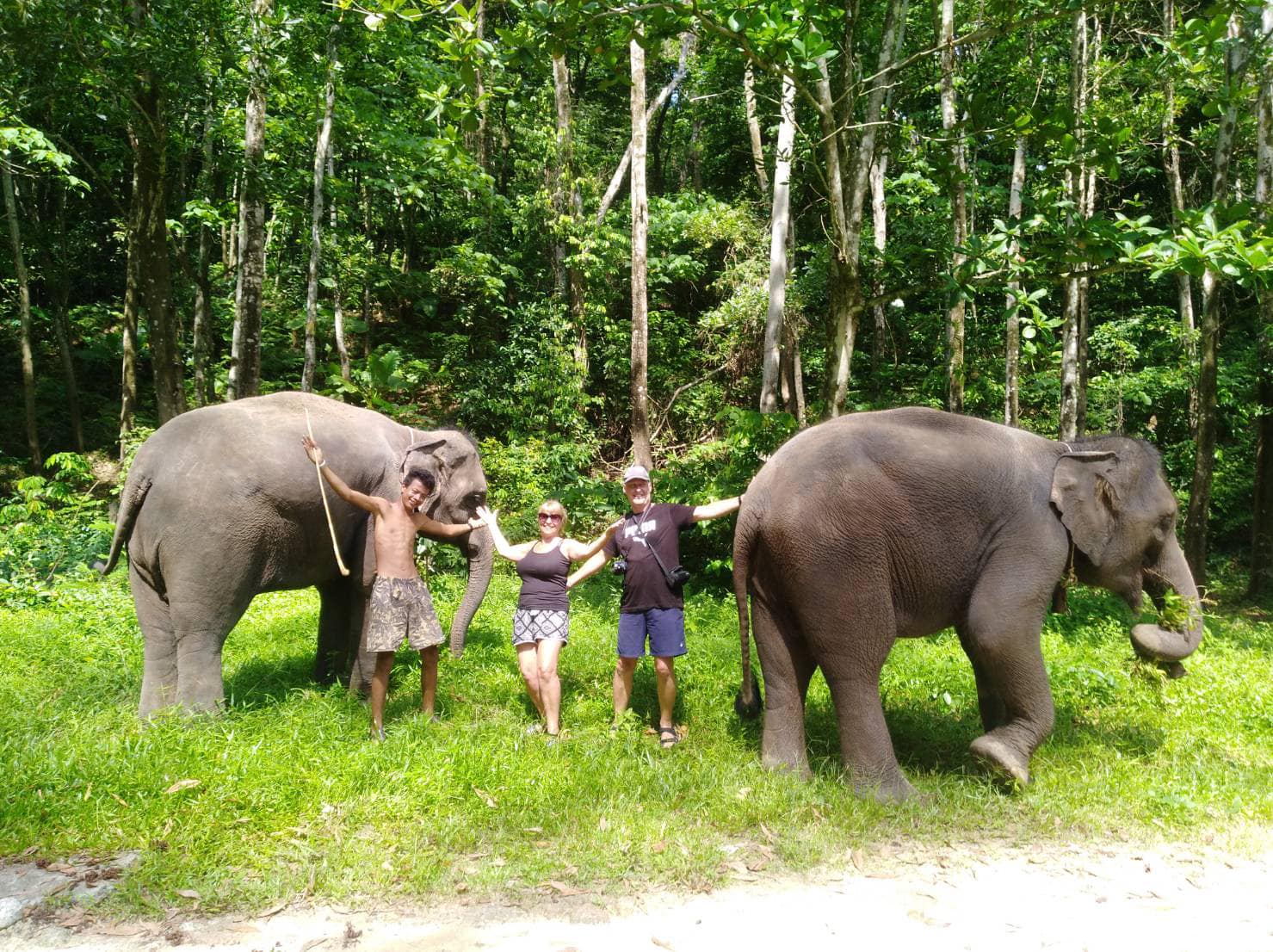 BAREBACK ELEPHANT RIDING ONLY 30 MINS (Pick up for hotels in Patong, Kata, Karon & Kamala)