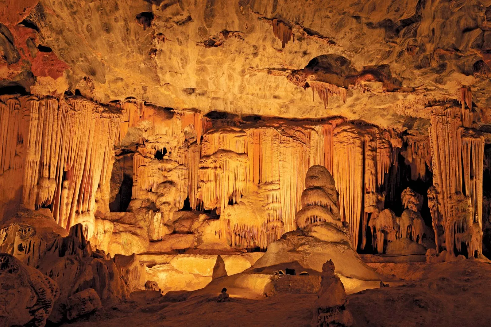 Private Full Day Knysna -7 Seater- Ostrich Farm - Cango Cave & Wildlife/Oudtshoorn