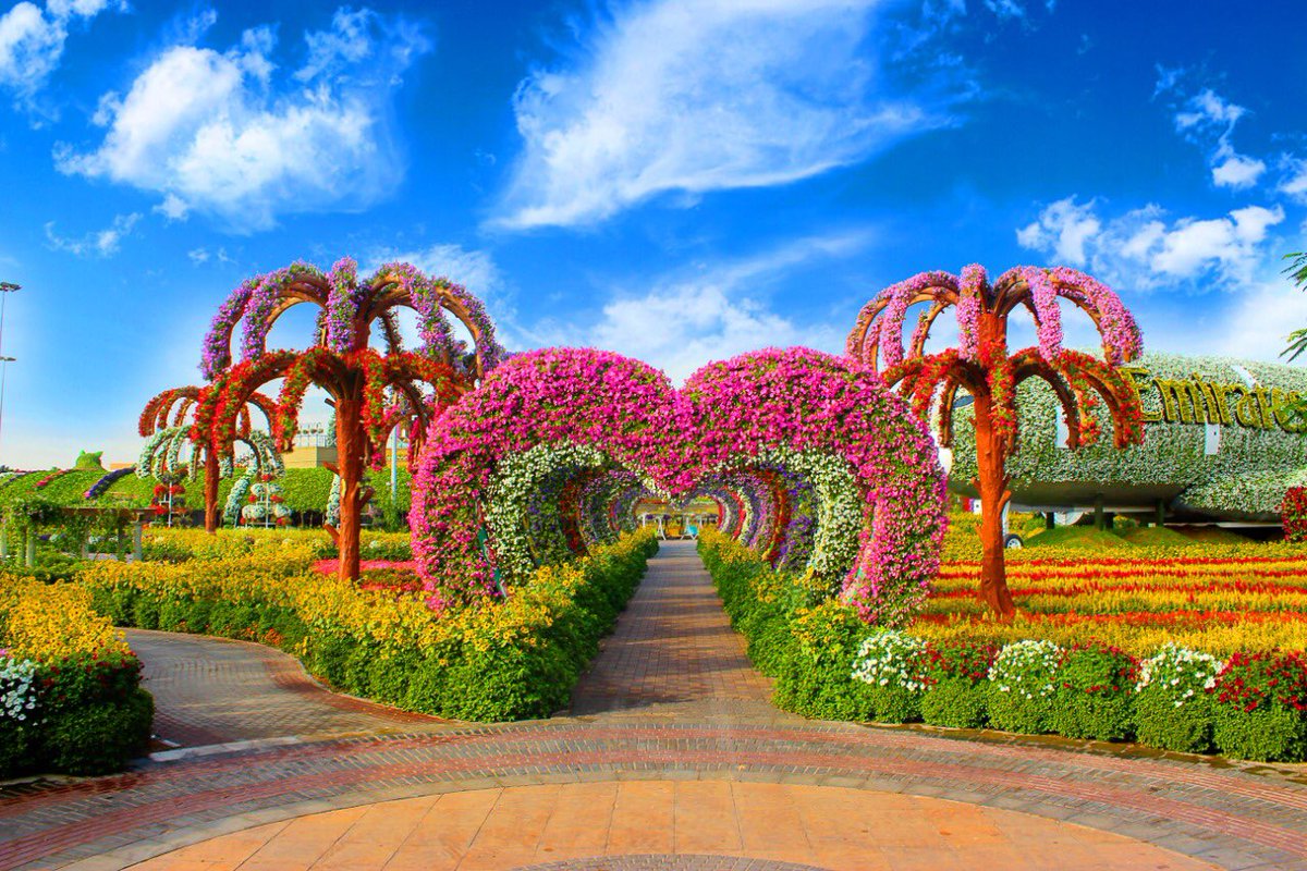 Miracle Garden - Ticket Only