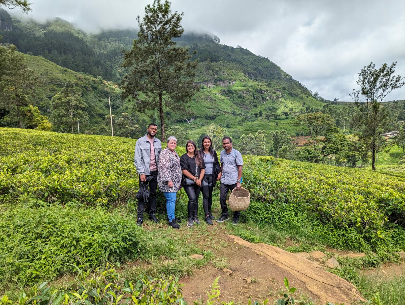 Tea Trails And Ramboda Wonders