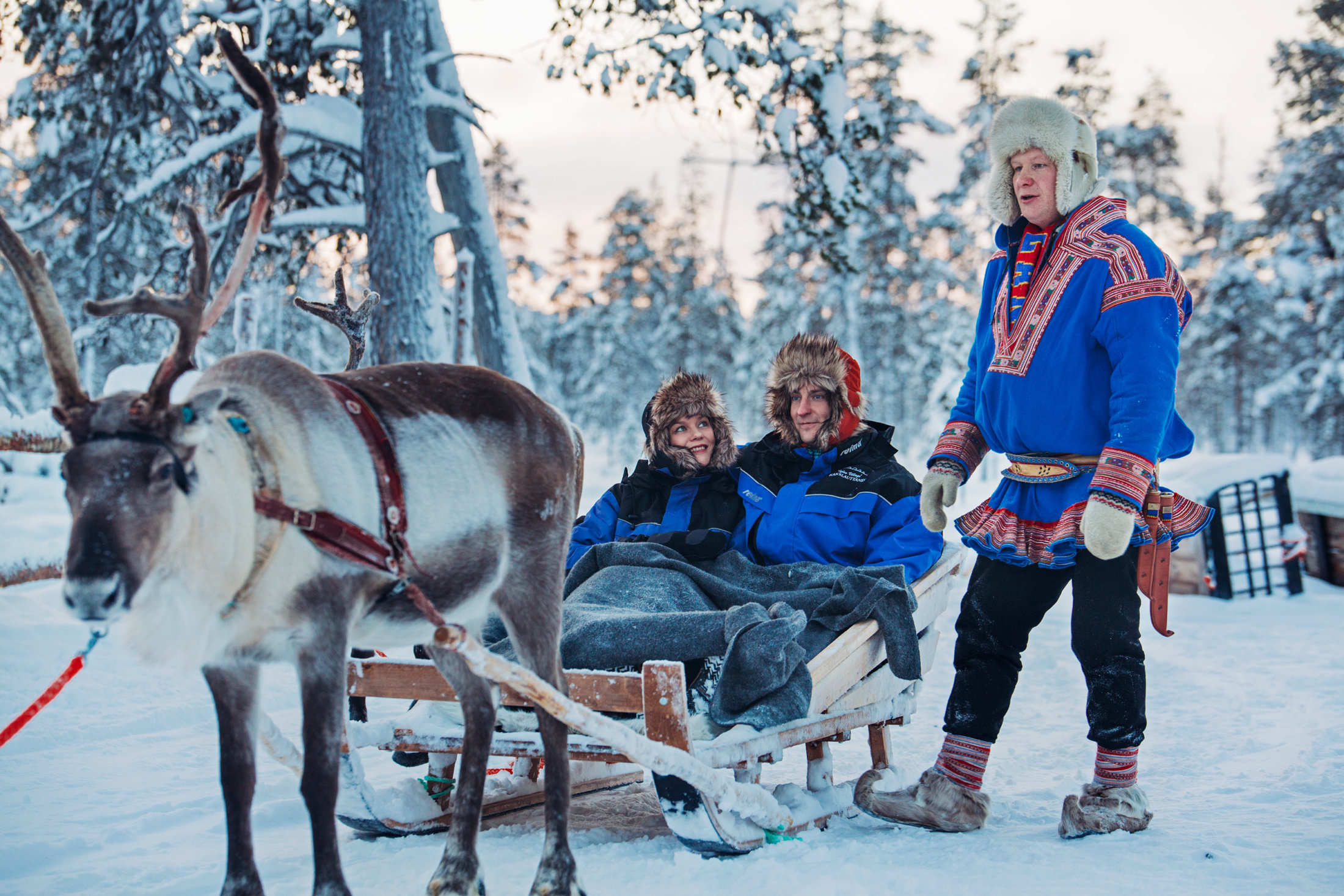 Reindeer Safari - 2 Hours