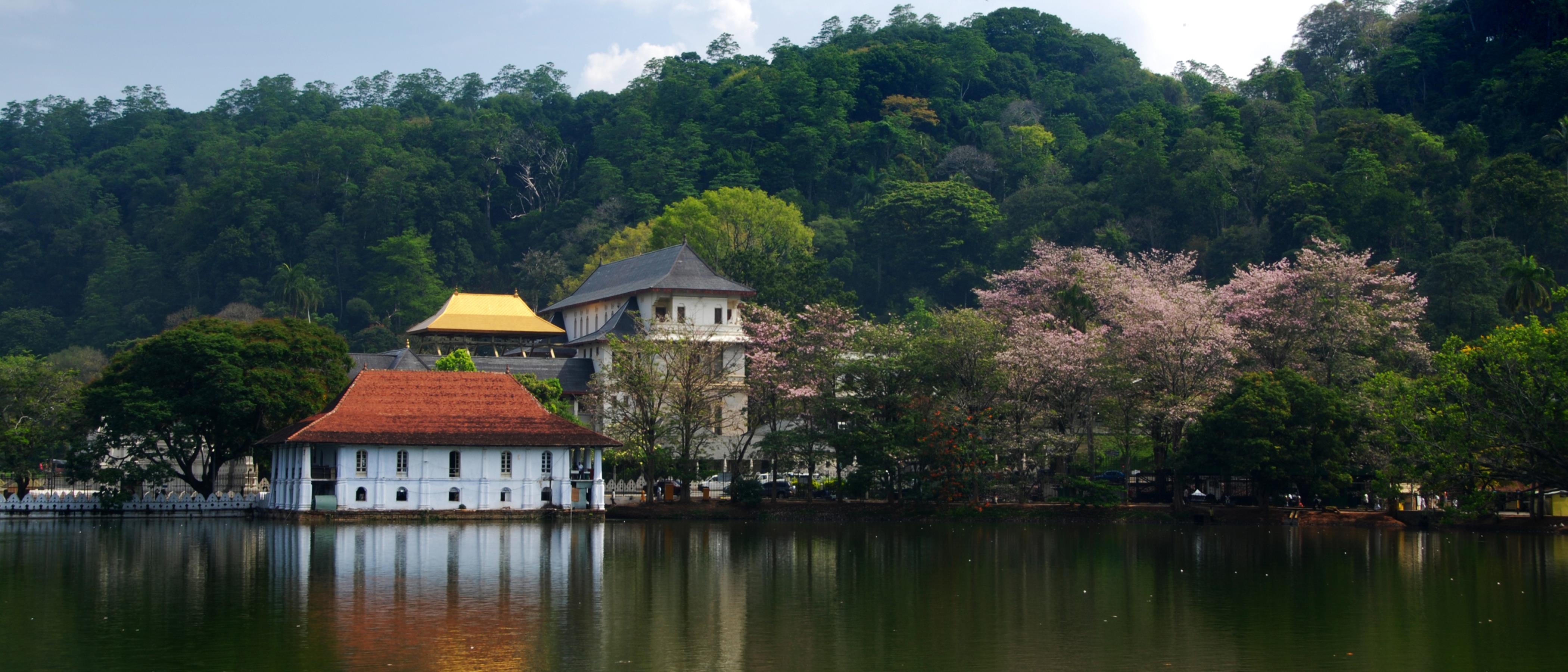 Kandy Uncovered : Visit Royal botanical gardens, kandy museum, cultural show , Gem Museum , Kandy lake , Spice garden , kataragama devalaya kandy. Kandy War Cemetery , Kandy viewpoint , Batik Factory , wood carving factory with private transfers.