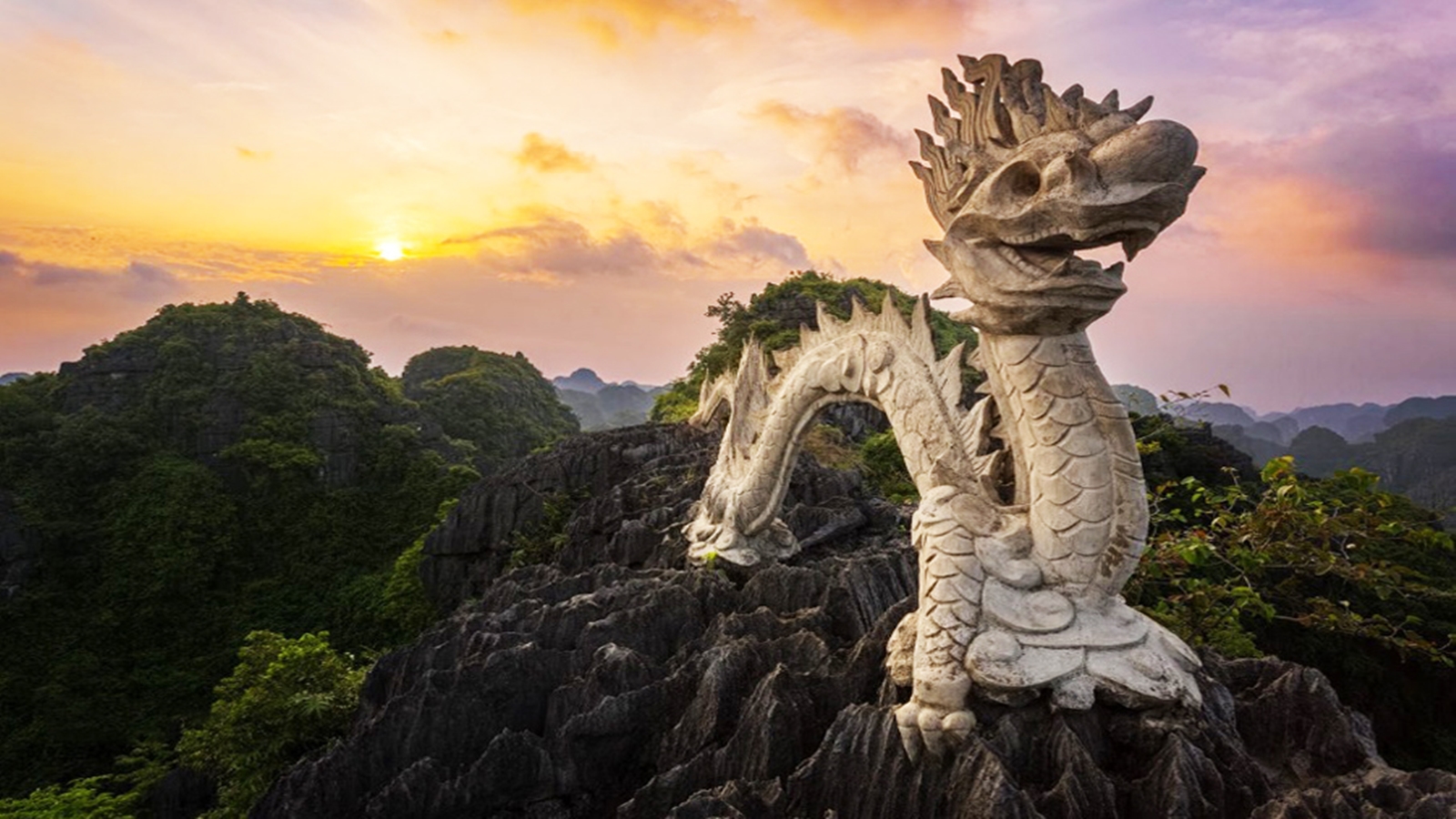 Tam Coc- Ninh Binh Full Day Tour with Mua Cave from Hanoi