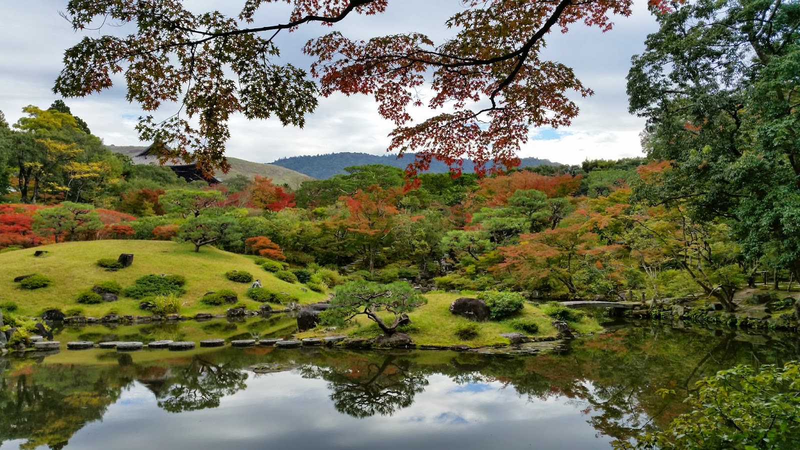 Nara Day Trip from Kyoto (Using JR pass)