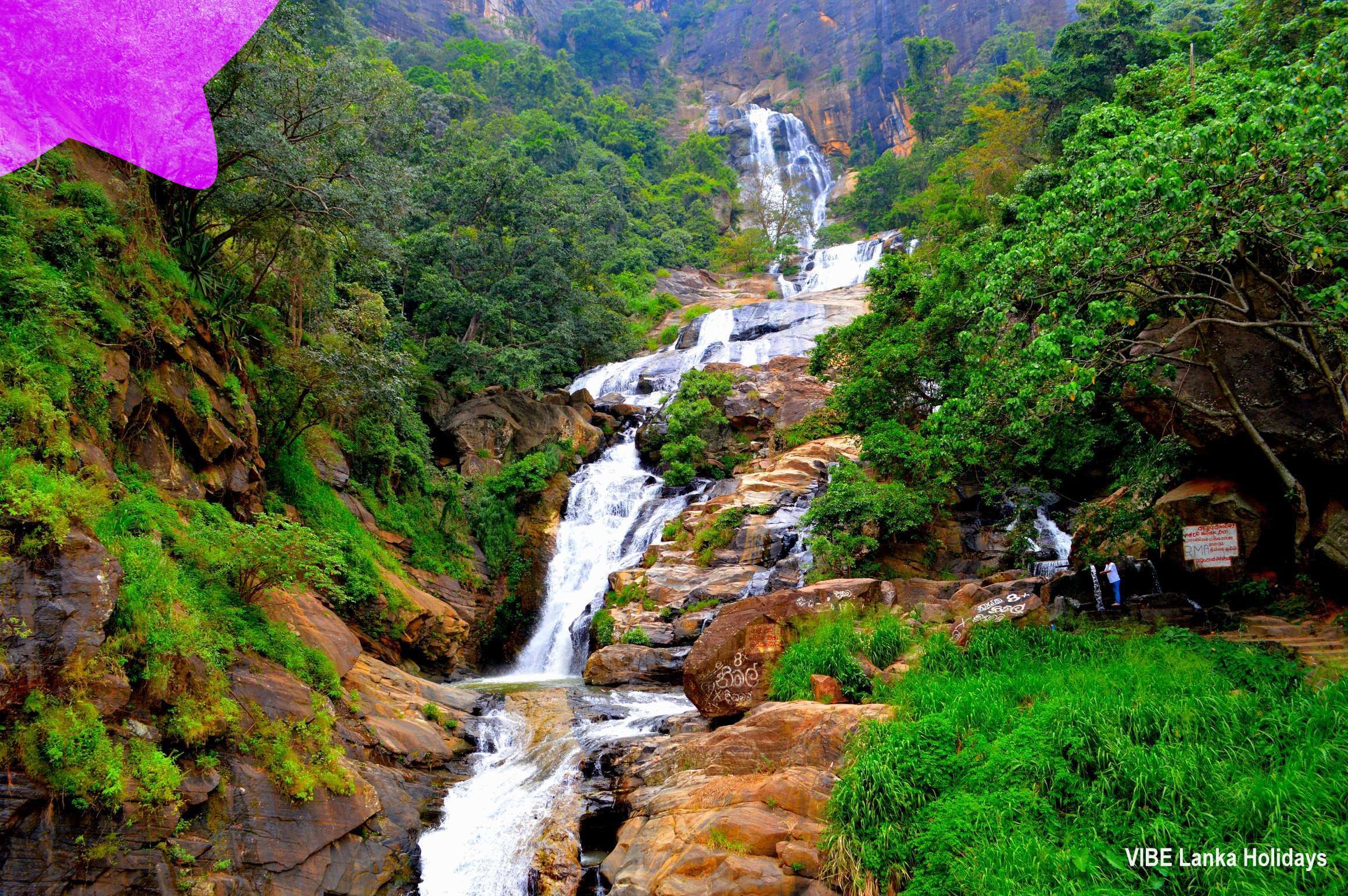 Full day tour of Ella, Nine Arch bridge, Ravana Falls & Little Adam's Peak 