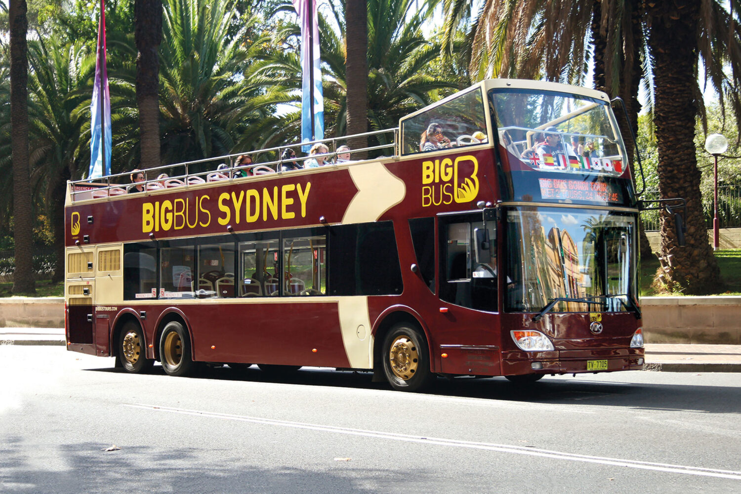 Big Bus Tours - Sydney Essential