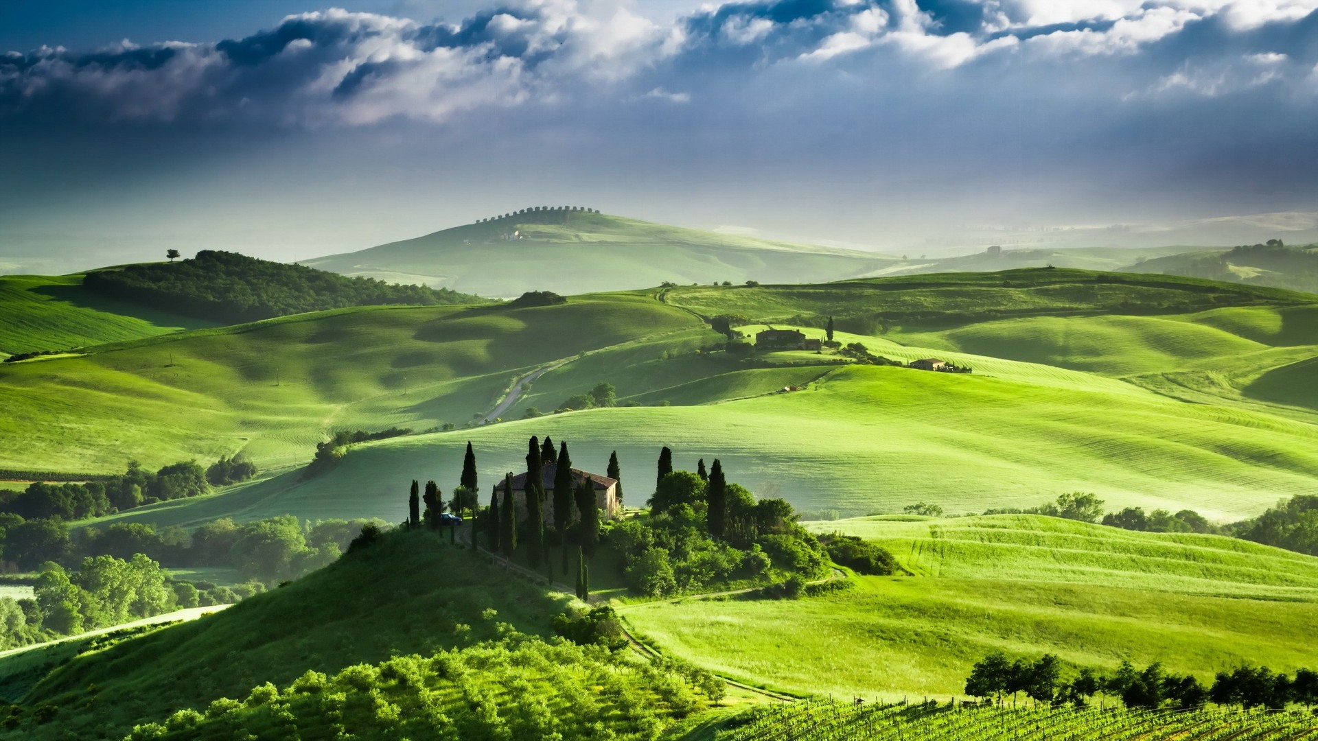 Basic - Tuscany In A Day: San Gimignano, Pisa With Lunch and wine tasting - Shared Transfer