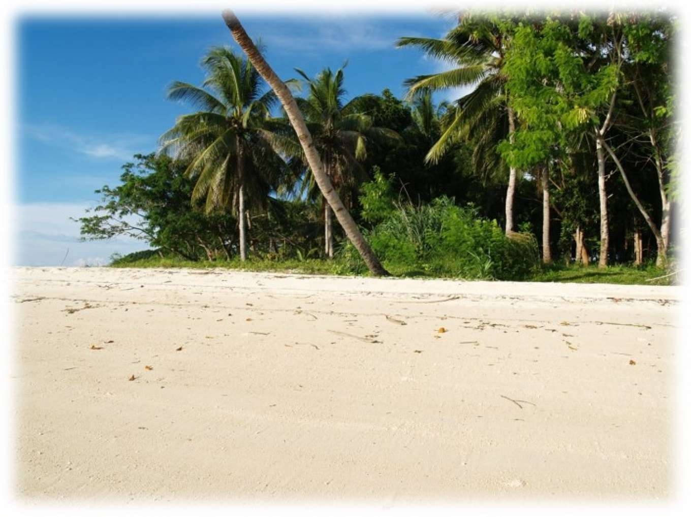 Tropical Bliss In Bentota