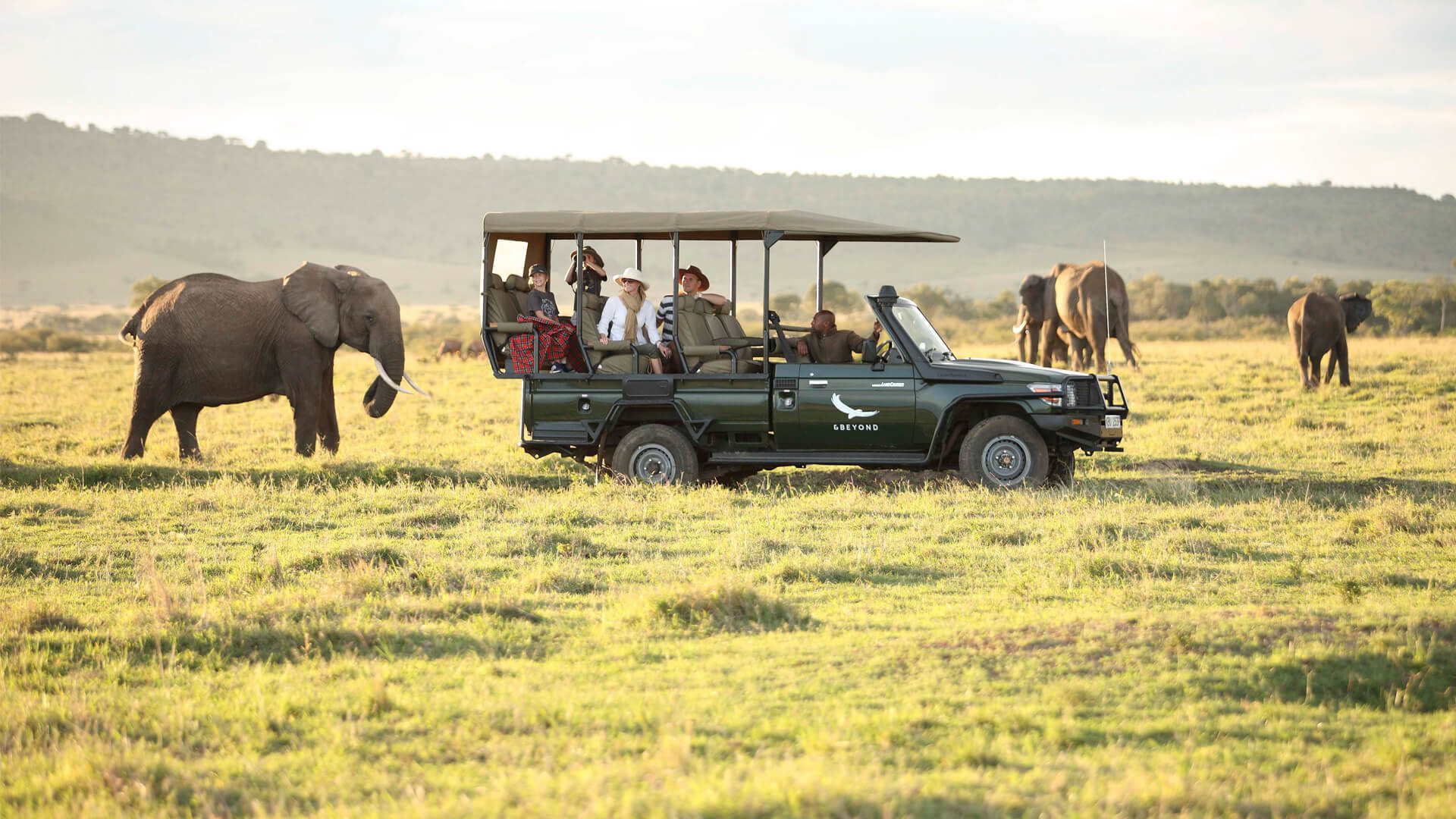 Full Day Game Viewing Safari
