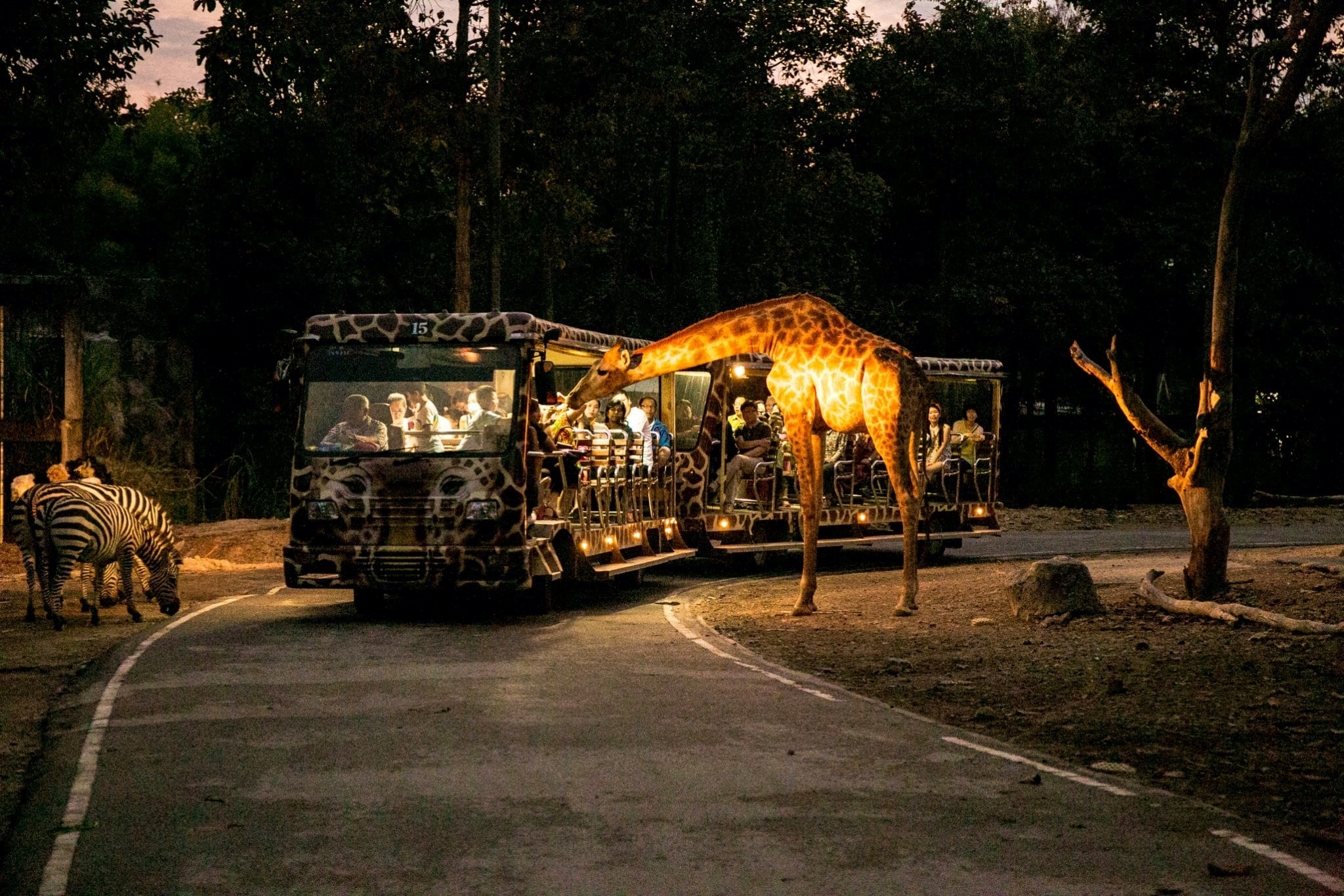 Chiang Mai-Night Safari (Min 2 Pax) (Shared Transfer)