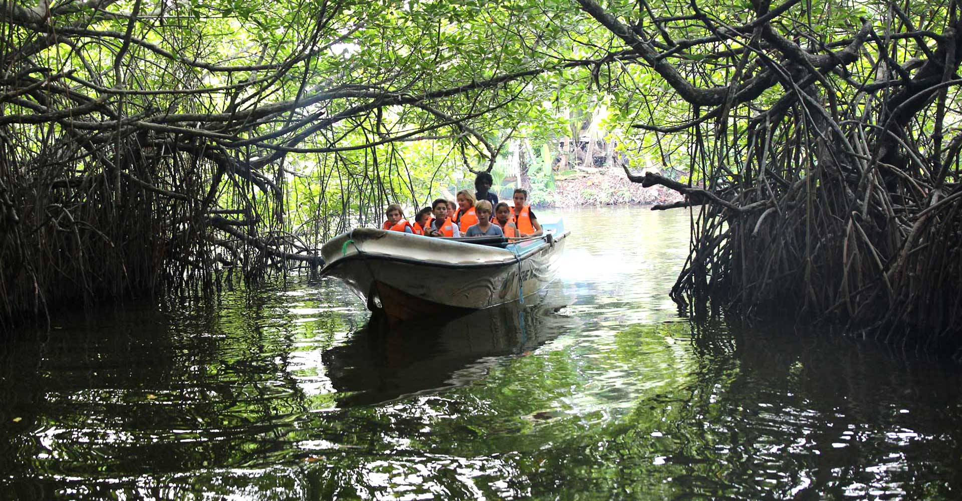 Bentota Day Tour Madhu River Ride, Turtle Hatchery and Water Sports